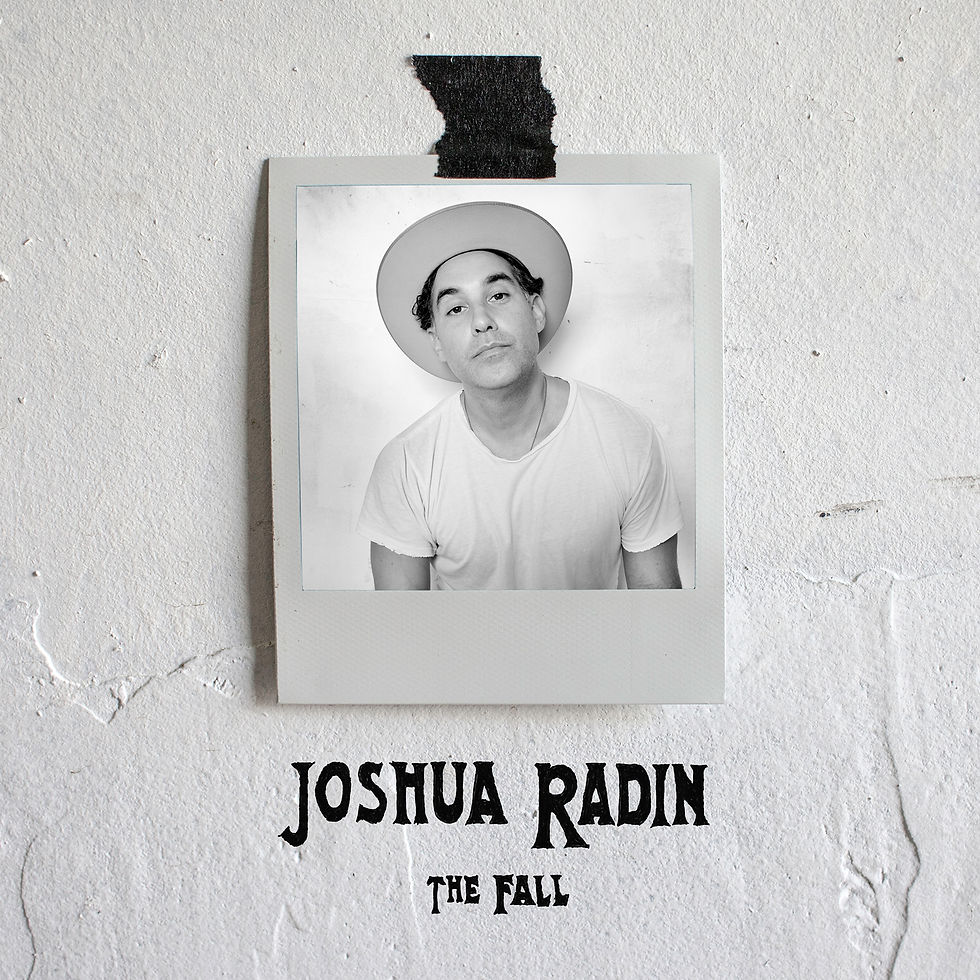 'The Fall' Album Cover