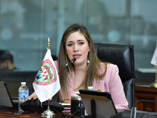 Solicita Congreso plan de emergencia sanitaria en H. Parral