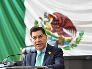 Congreso propone declarar el 14 de octubre como Día Estatal del Murciélago: