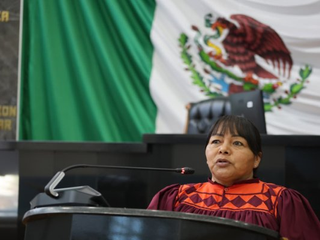 PRIAN desecha reserva de morena que buscaba evitar simulación en acciones afirmativas y garantizar competencia real para grupos históricamente excluidos