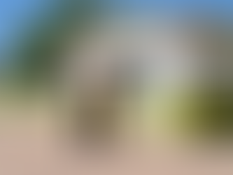 Apoya Carla Rivas al mejoramiento de la primaria Revolución Mexicana con entrega de pintura