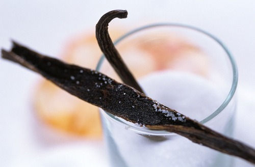 Why is vanilla so expensive?