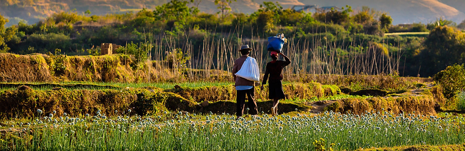 Malagasy farmers, sustainable agriculture from Madagascar, natural products, Québec Canada