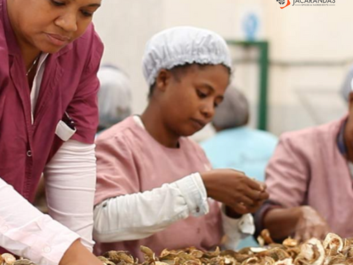 Matana & fair trade in Madagascar: more than a commitment, a mission