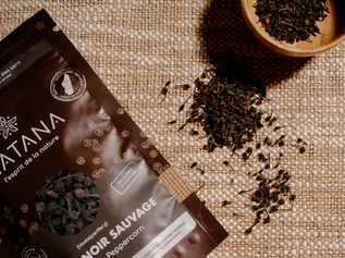 Poivre sauvage de Madagascar vs Poivre Noir : Le guide Matana