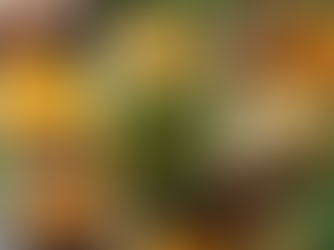 Smoothie vert tropical au curcuma de Madagascar