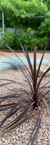 Création massif paysager - plantation arbuste - enrochement - paysage - paysagiste - 26000 valence