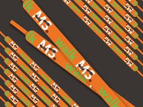 Virtual Walk MS 2020