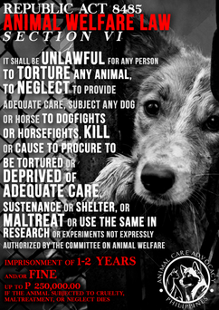 THE AMENDED Animal Welfare Act (RA 8485 / RA 10631)