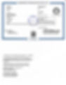OFA Certificate for elbow dysplasia