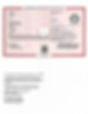 OFA Certificate for elbow dysplasia