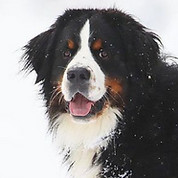 Screenshot 2024-01-01 at 3.09.13 PM.jpeg