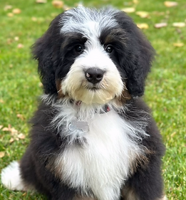 Screenshot 2025-10-24 at 4.04.03 PM.png