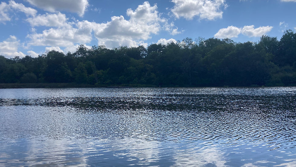 View of the Anacostia River during the August 9th boat tour. Photo Credit: Tricia Boccard, DCEW Board Member & Event Organizer