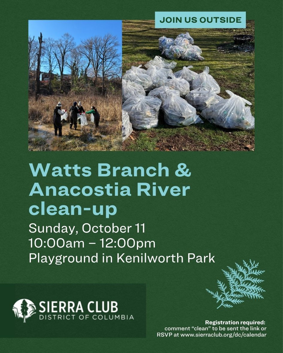 Watts Branch/Anacostia River Clean-up