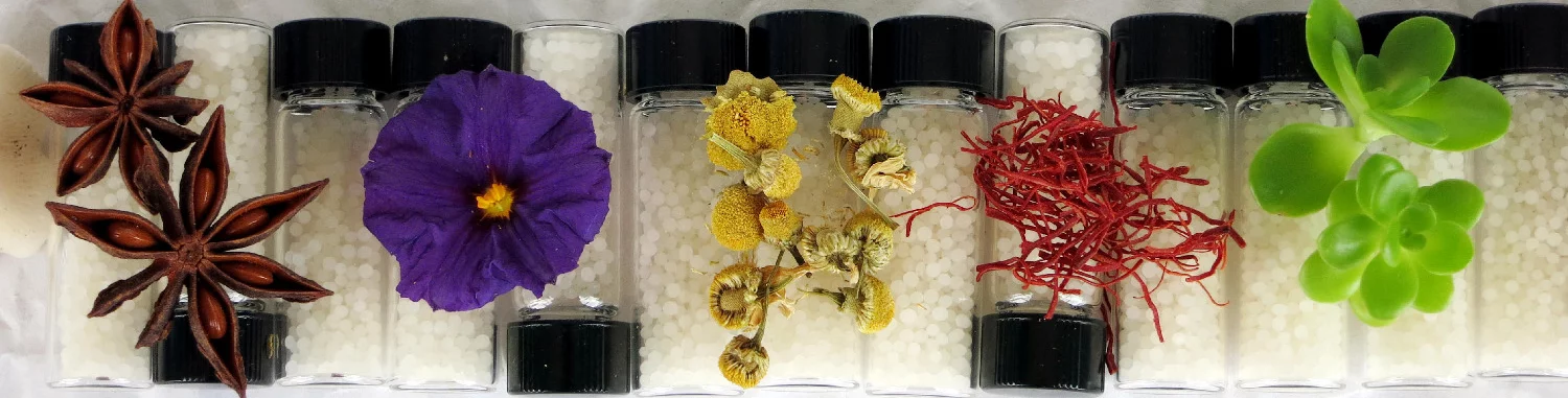 Homeopathy image.webp