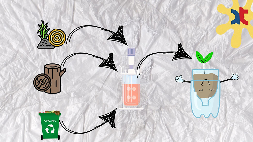What Are Bioplastics?