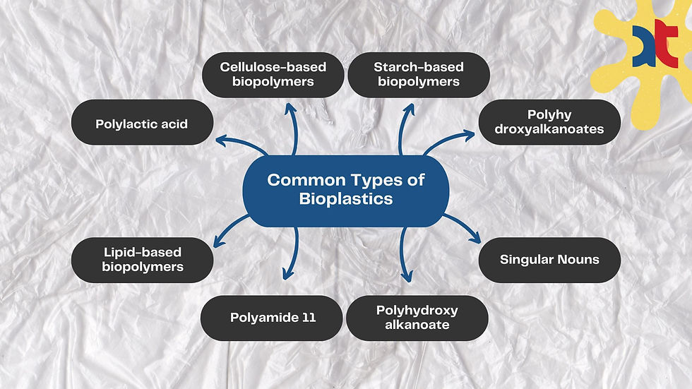 Common Types of Bioplastics