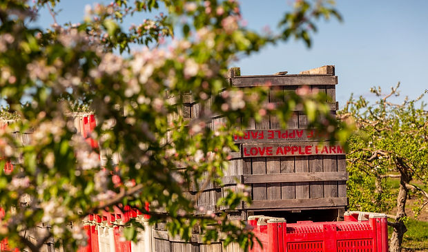 Fresh produce | Love Apple Farm | United States