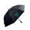 Thumbnail: UMBRELLA