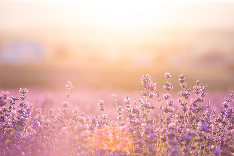 family wellness blog parenting mental health tips Yellowknife