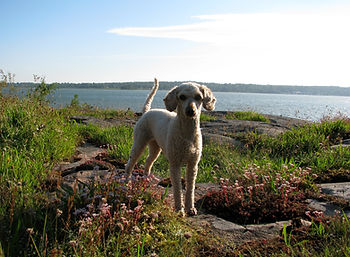 IMG_8830.JPG