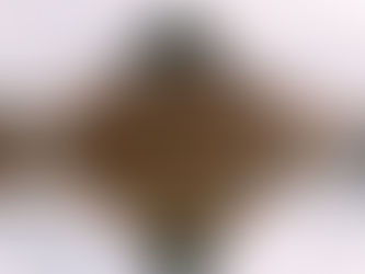 Ein Abend mit Gerald Hüther und Konstantin Wecker