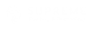 white_logo_transparent_background.png