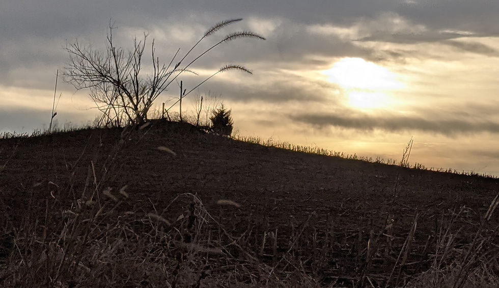 A peaceful sunset over a barren field after harvest at Rustic Vista.