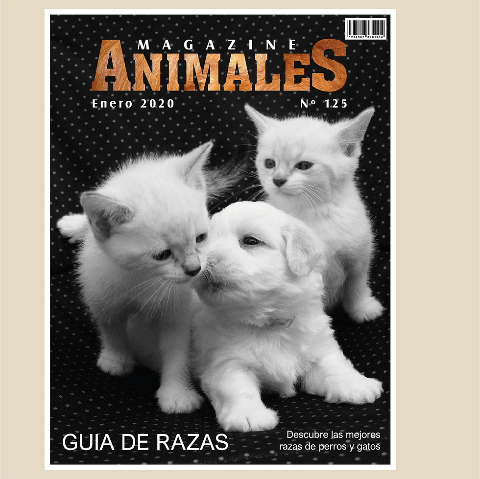 001-05 ANIMALES