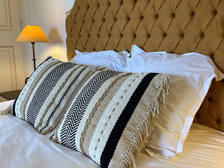 Chambre a Coucher Moutarde (Coussin).jpeg
