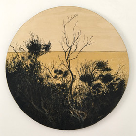 Tea Tree Silhouette