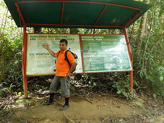 BukitLawang_Eddy_Korstjens_2016