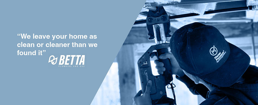 affordable plumber whangaparaoa