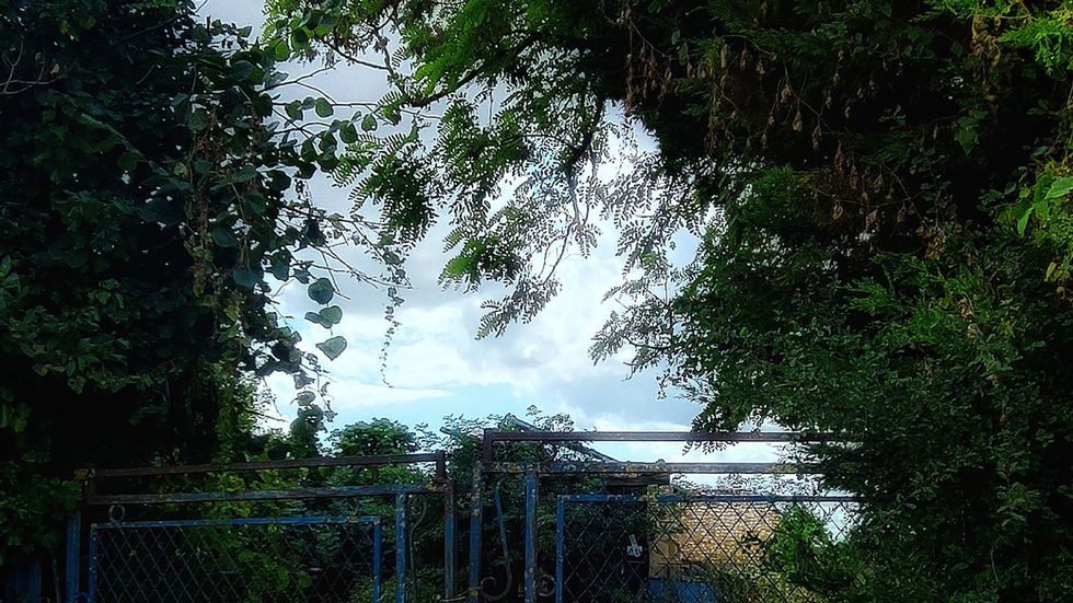 Outdoor
© 2026 by Mille issues