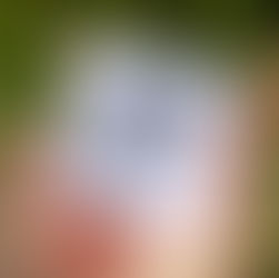 Lisas eigene Visitenkarten