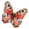 Watercolor Butterfly 19