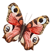 Watercolor Butterfly 19