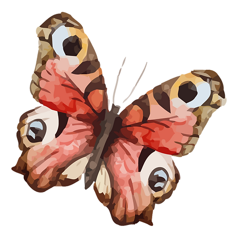 Watercolor Butterfly 19