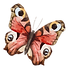 Buttefly of POKI POKI