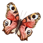 Watercolor Butterfly 19