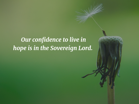 Hope Filled Days