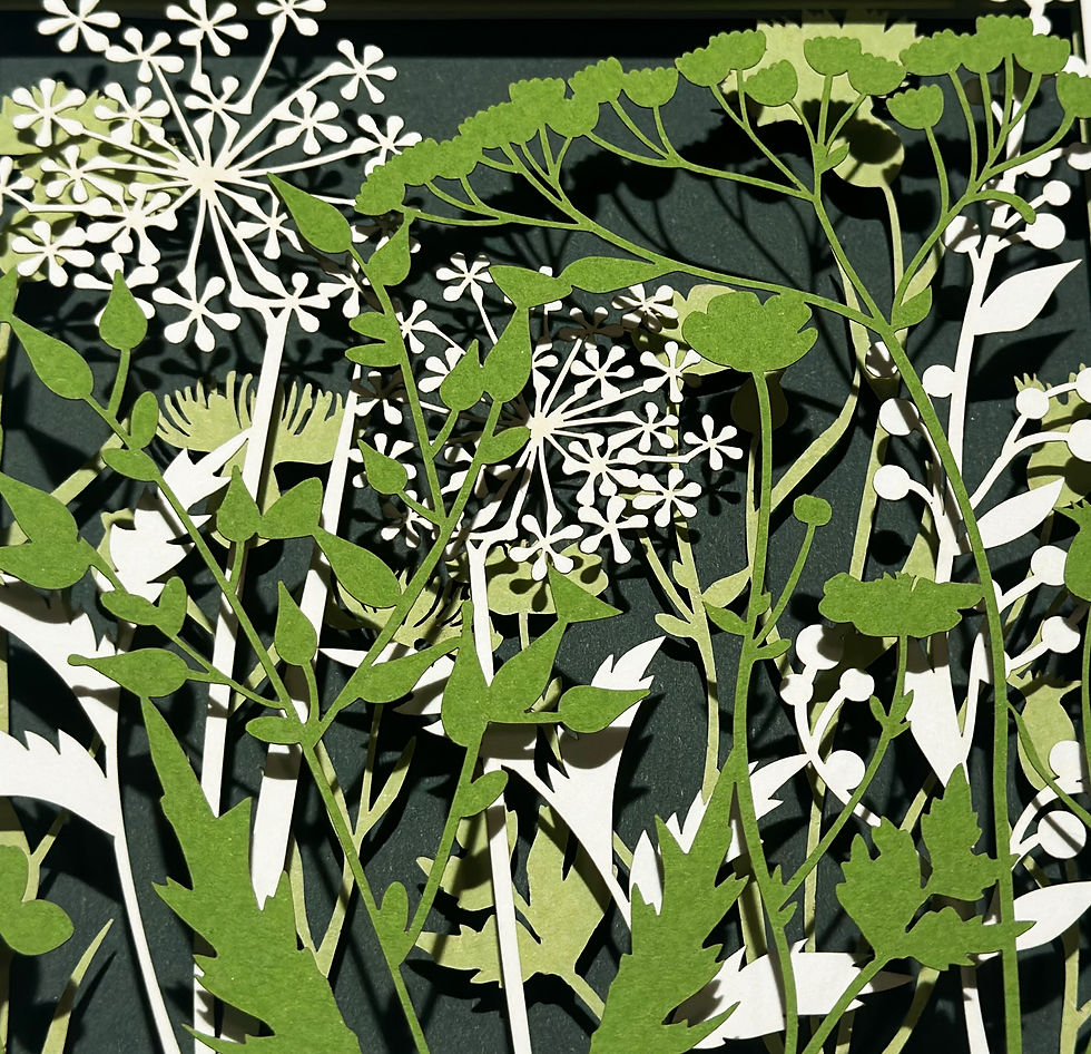 Thumbnail: Wild Flowers : Summer 6