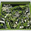 Thumbnail: Wild Flowers : Summer 6