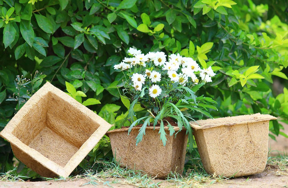 Miniature : Pot carré 12 X 12 cm