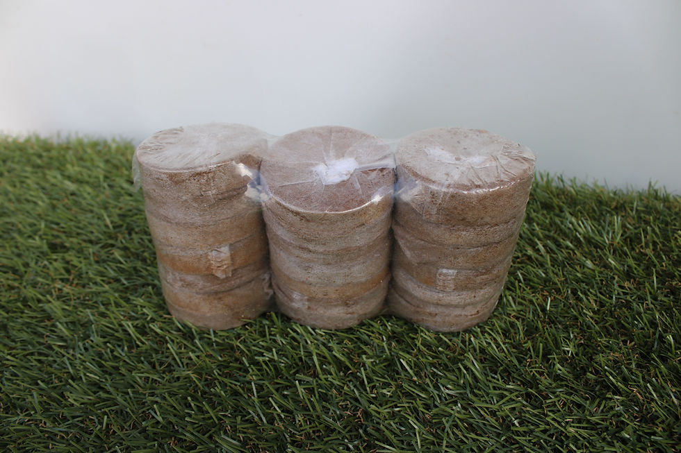 Miniature : Pack de 10 palets