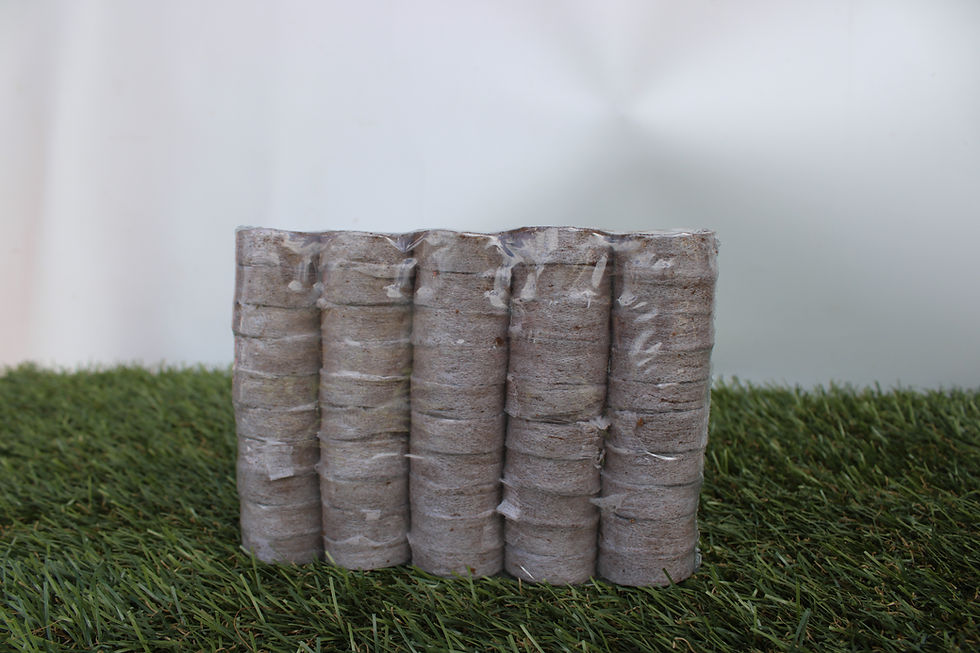 Miniature : Pack de 10 palets