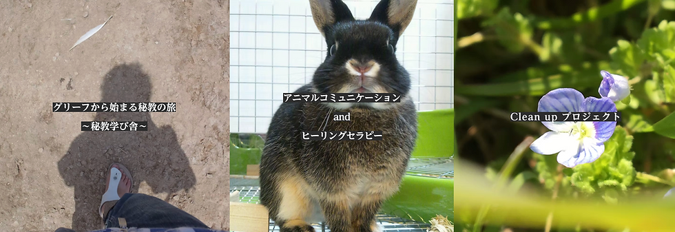 スクリーンショット 2026-09-20 14.38.25.png