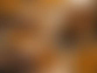 Why Indian Premium Turmeric Fingers Are the Gold Standard in Global Spice Export