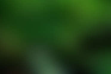 Climate Change: What can you do?